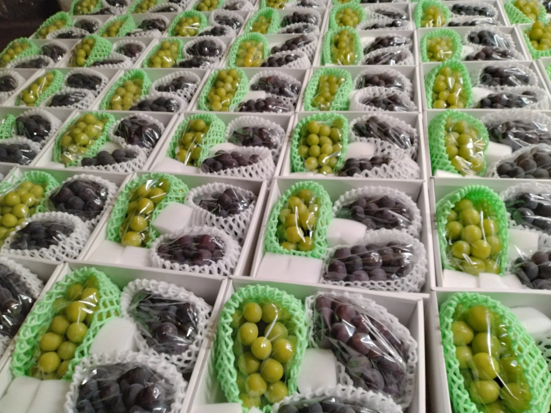 シャインマスカットギフト