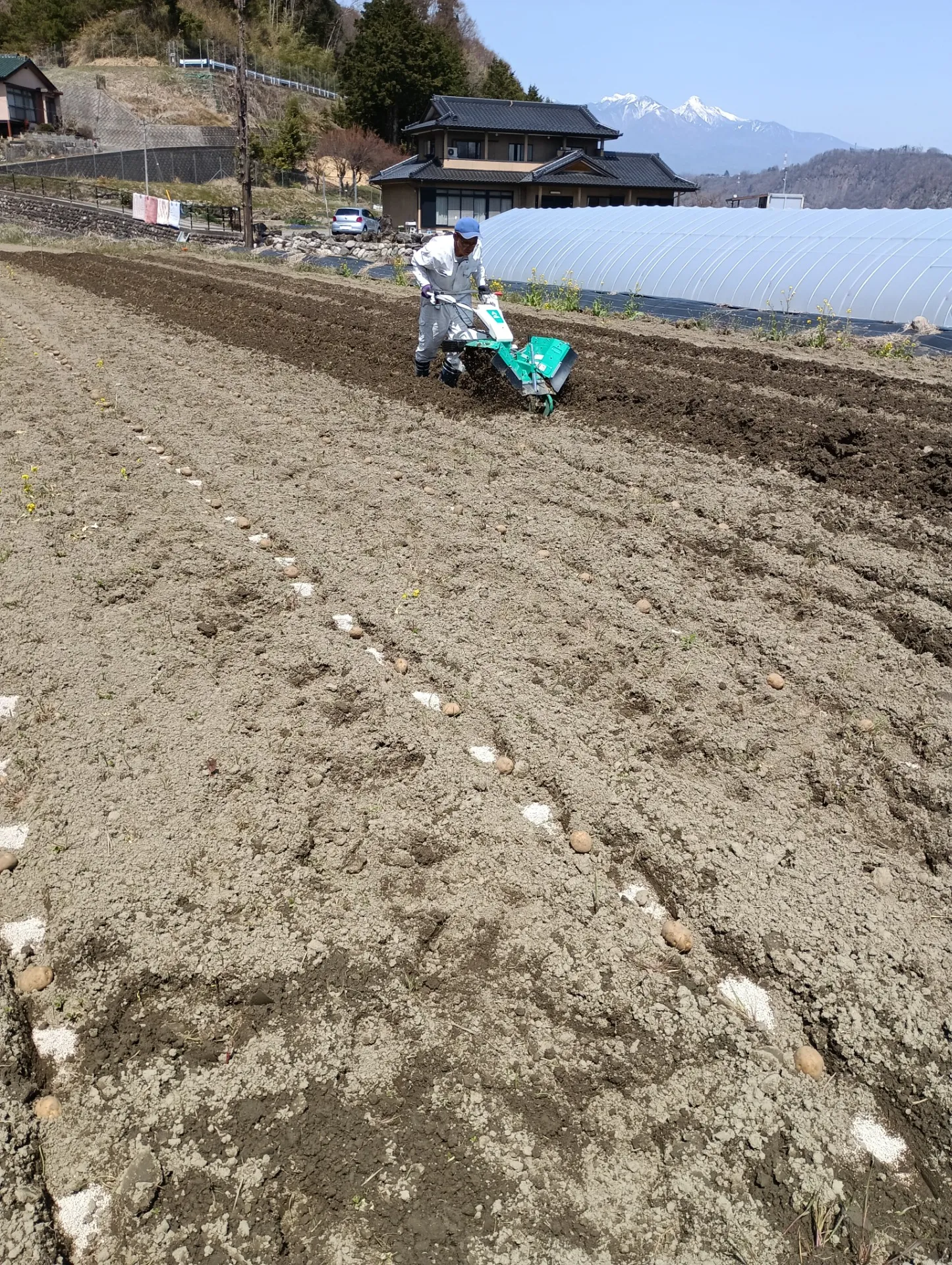 ジャガイモの始まり